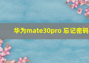 华为mate30pro 忘记密码